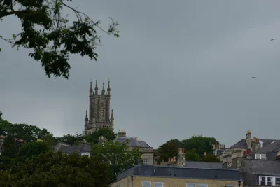 DSC_2611 (Large).JPG